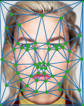 triangulated karlie