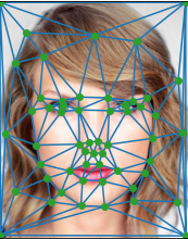 triangulated taylor